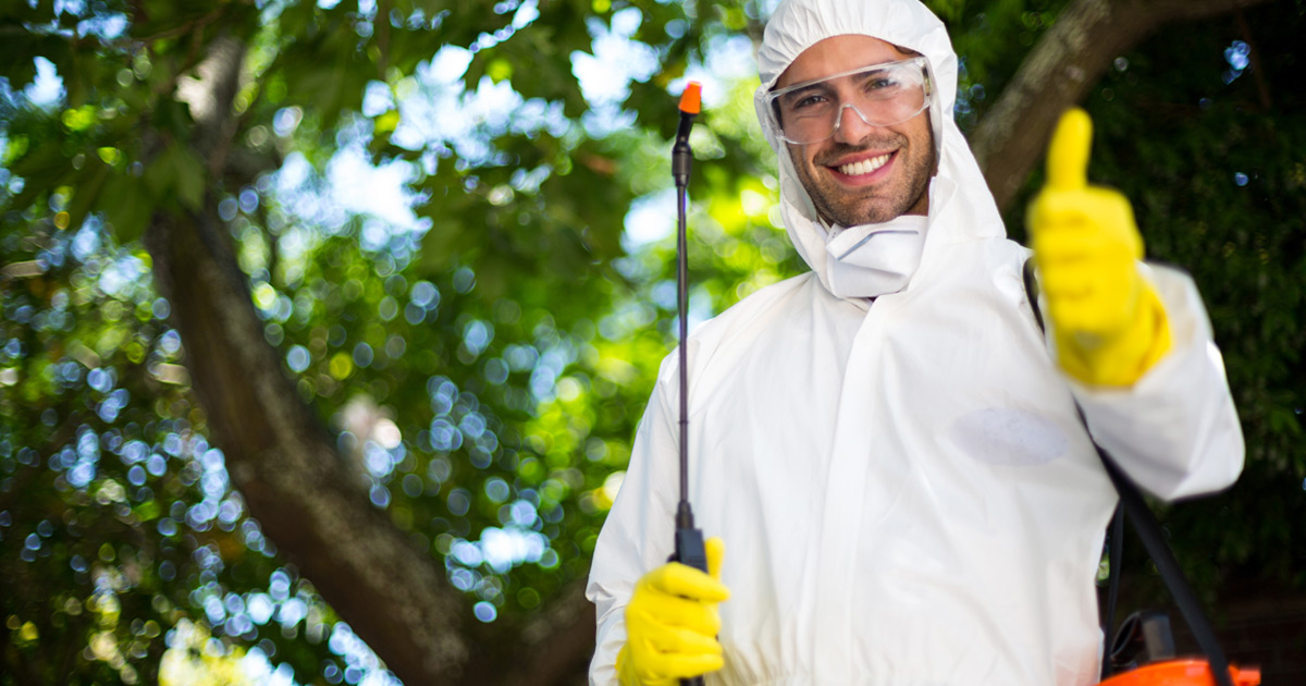 best pest control company in Egypt